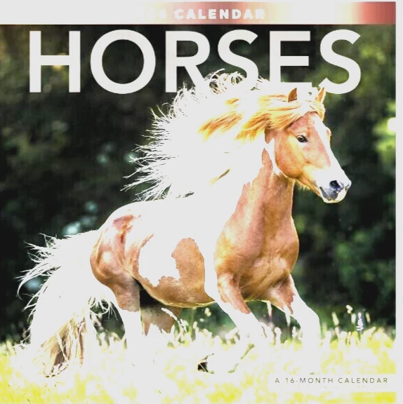 HORSES 2024 WALL Calendar Includes 2023 & 2024 16 month calendar by