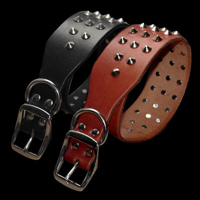 Heavy Duty Genuine Leather Pet Dog Collar Spiked Studded for Rottweiler Labrador
