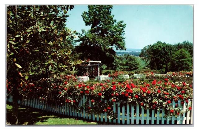 Vintage 1950s- Hershey Rose Gardens - Hershey, Pennsylvania Postcard (UnPosted)