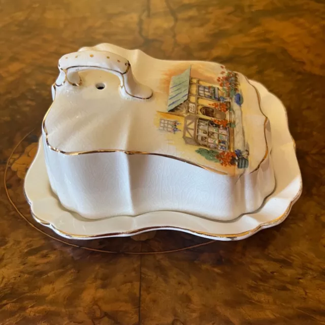 Vintage Lancasters Hanley The Posy Shop Butter Dish