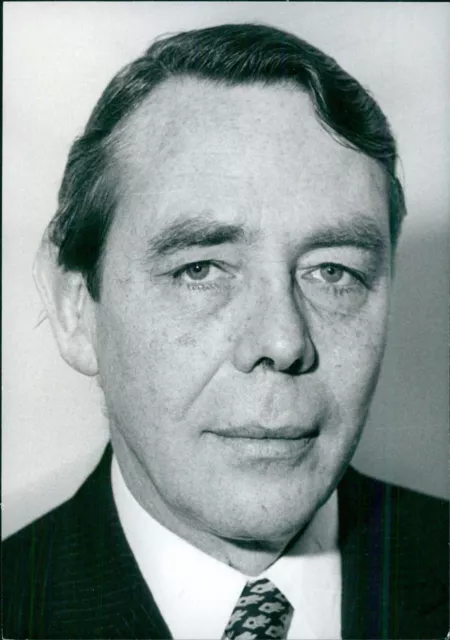 British Diplomat Ronald Burroughs, CMG - Vintage Photograph 4986060
