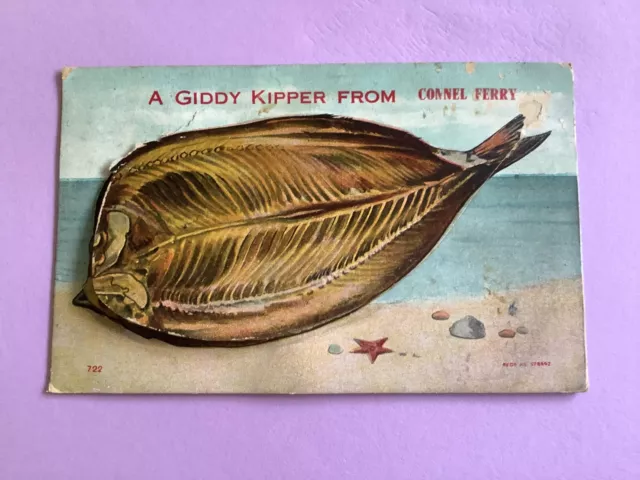 U.K. A Giddy Kipper From Connel Ferry 1919 Vintage Postcard R47257