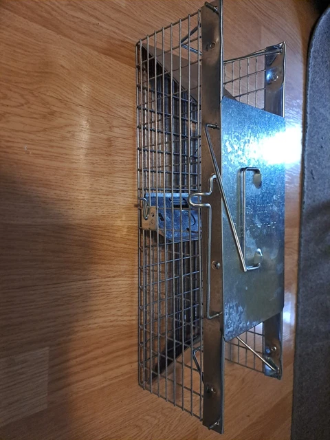 HAVAHART Live Small Animal Trap 17" Steel Cage Mice Moles Voles Shrew NEW!