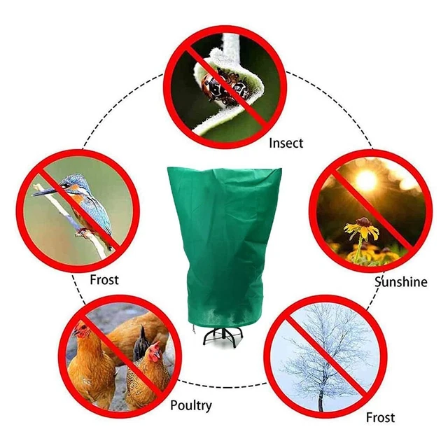 Housse D'hiver Non Tissée Pour Plantes - Protection Contre Le Gel, Le Vent, La Neige Et Les Oiseaux - Facile à Fixer Avec Cordon - 3