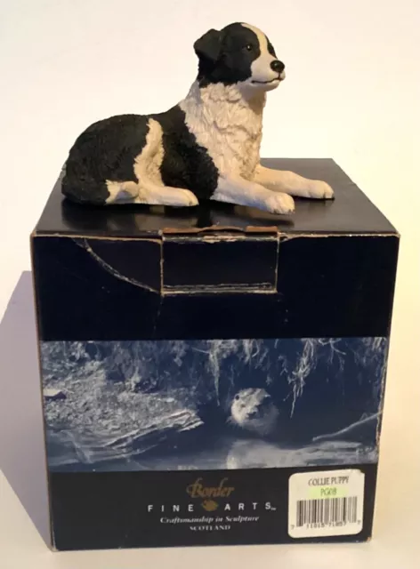 Border Fine Arts “Border Collie Puppy”  In Original Box With Label No.pg08