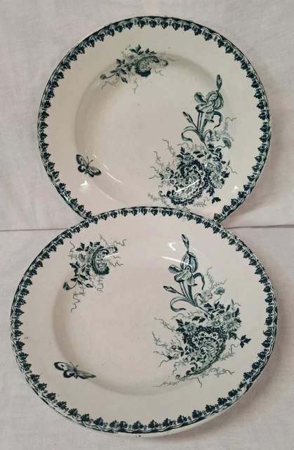 2 Assiettes Creuses Terre De Fer Saint Amand Décor Louis XV