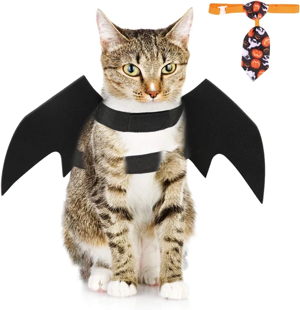 Animale Domestico Halloween Costume per Cane Gatto, Regolabile Pipistrello Ala H