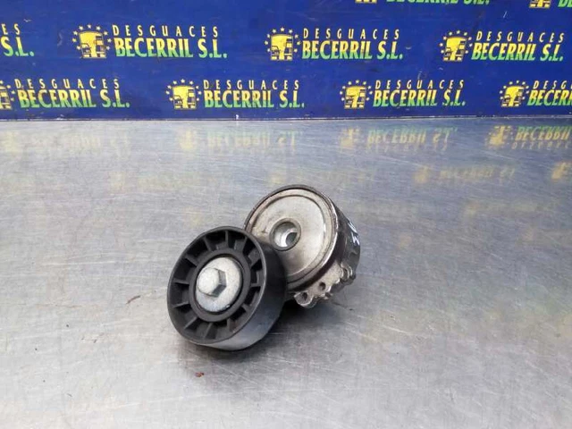 galet tendeur pour PEUGEOT 206 FASTBACK 2.0 HDI 90 1999 1165288
