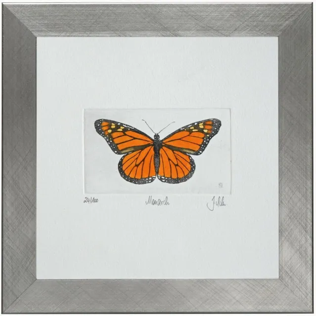 Monarchfalter (Danaus plexippus), Butterfly, Etching, Schmetterling, Radierung,