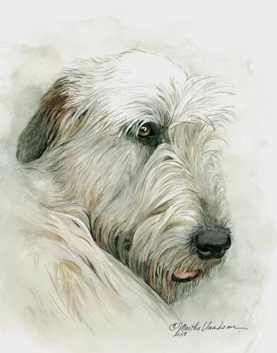 Irish Wolfhound Giclee Limited Edition Print, Cuddling