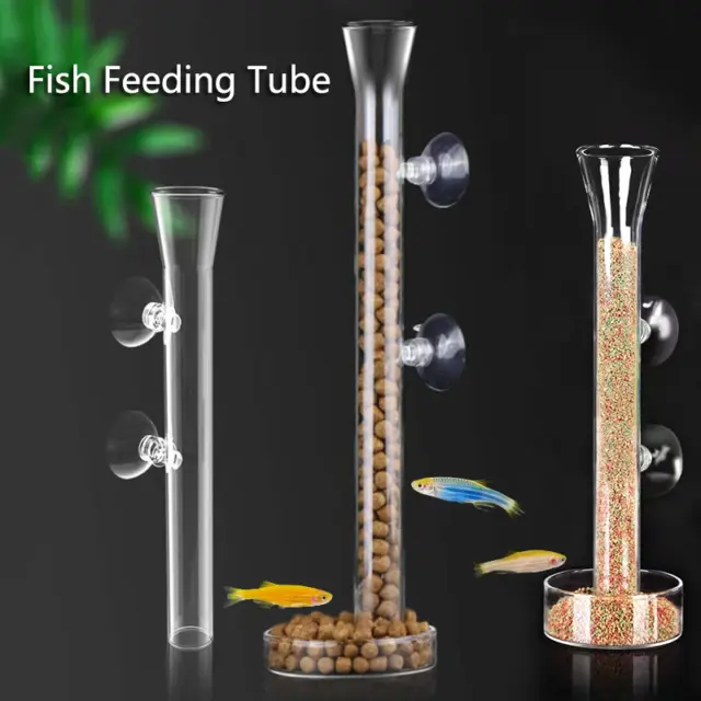 Glass Aquarium Feeder Tube Dish Transparent Fish Tank Shrimp Snail Food Feeder B 2