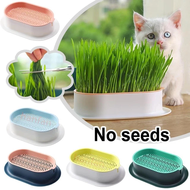 Cat Grass Planting Box Plant Growing Kits,Hydroponic Cat Grass Soil-Free Planter