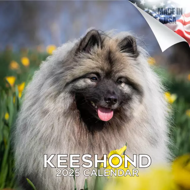 CALENDRIER DES RACES Keeshond 2025 TAILLE COMPLÈTE 12x24 fabriqué aux