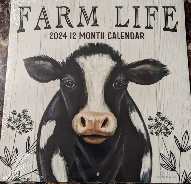 2024 DOLLAR TREE 12 Month Calendar FARM LIFE Crafts Early Release 8.49