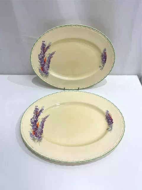 ANTIQUE Set of 2 Myott Staffordshire Made In England Purple Flower Plates