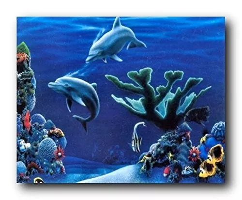 Tropical Fish & Dolphins Coral Reef Underwater Ocean Animal Wall Art Print 16x20