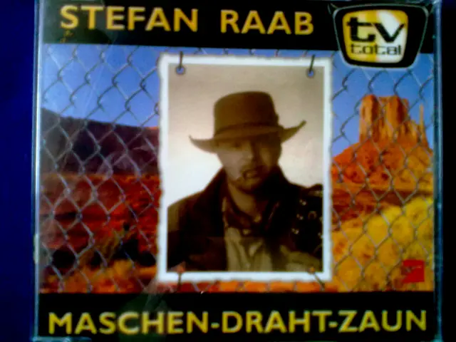 CD - STEFAN RAAB - MASCHEN-DRAHT-ZAUN (m.Regina Zindler)