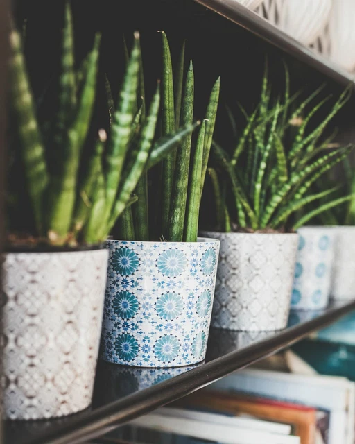 Vintage Spanish Tile