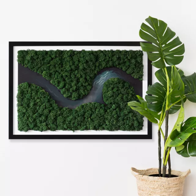 Decorazione da Parete Arte Muschio Cornice MDF nero 60x40 cm- Fiume