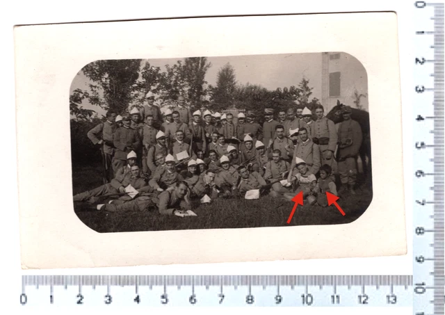 fregio ricamato per berretto rigido Esercito Italiano