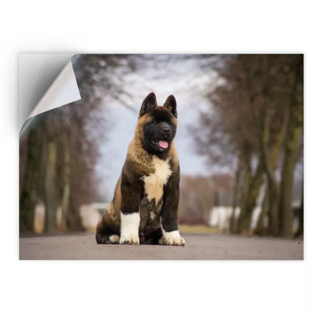 1 x Vinyl Sticker A4 - Large American Akita Puppy Dog #15711