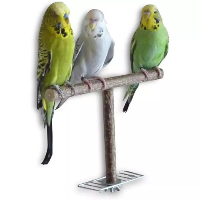 Papagei Spielzeug Vogelkäfig Zubehör Ständer Holz Vogelständer Halter für