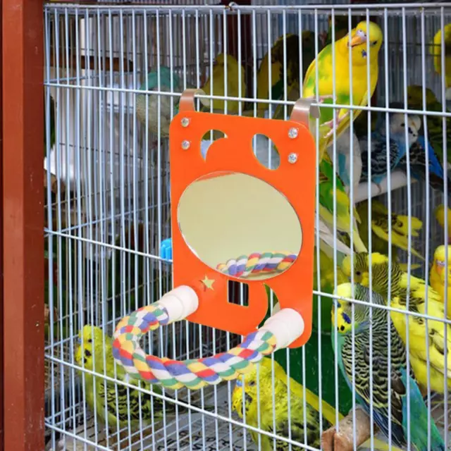 Miroir à oiseaux avec perchoir, accessoires de Cage de jeu pour cacatoès,