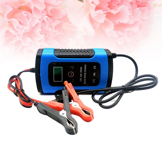 Boat Battery Chargers Cargador Para Baterias De Carro Marine 2