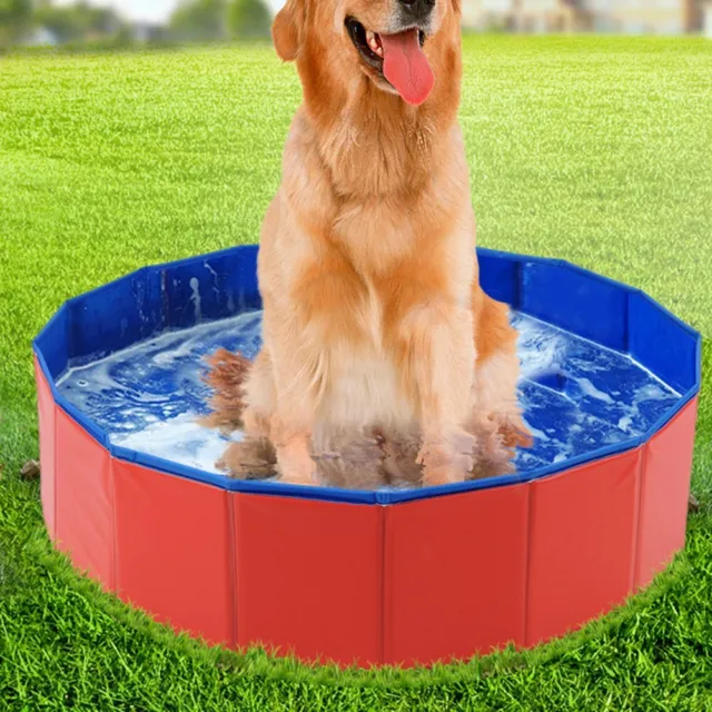 van Dam Exclusive® Piscine pour animaux - Piscine - Piscine pour chiens -  bain - bain