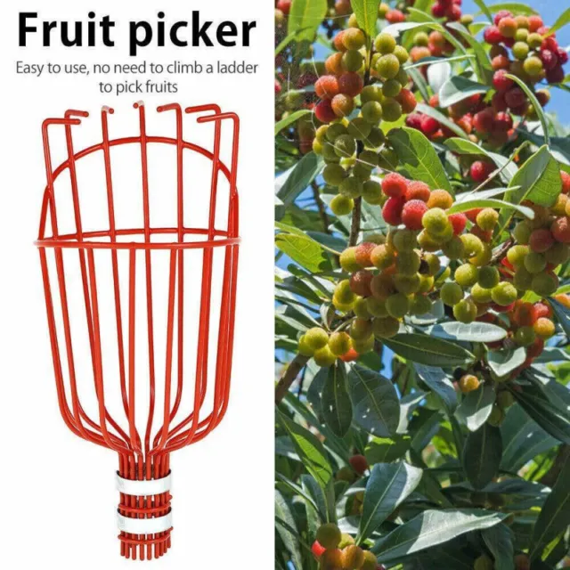 Apple Fruit Picker Lightweight Garden High Tree Catcher Tool Telescopic Steel Uk