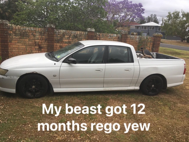 12 months rego lowered to legal size 2005 vz v6 crewman 6 speed manuel 12 months rego lowered to legal size 2005 vz v6 crewman 6 speed manuel
