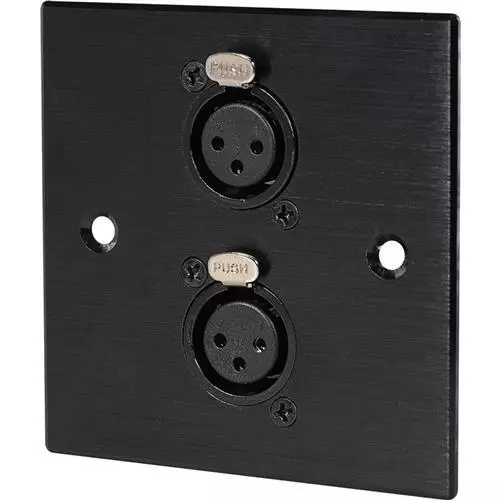 Wall Plate 2x Female XLR