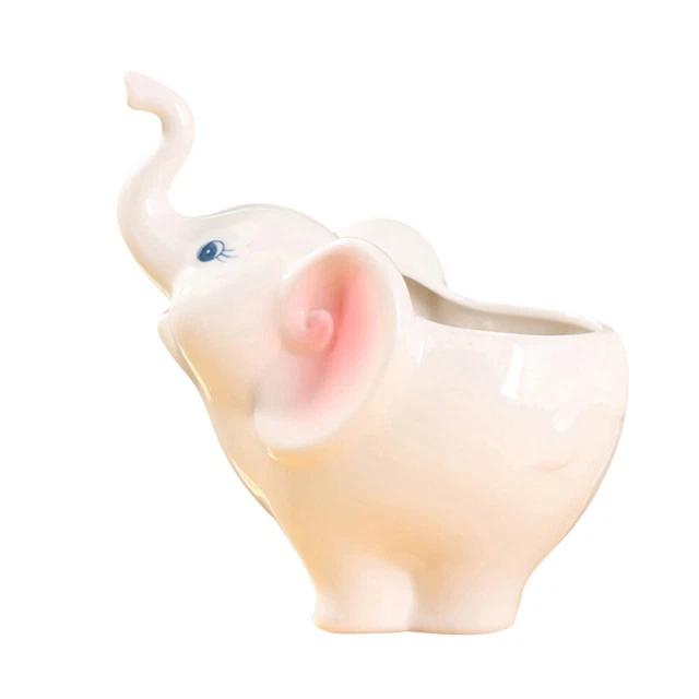 VASO IN CERAMICA per piante grasse domestiche vasi da interno piante da