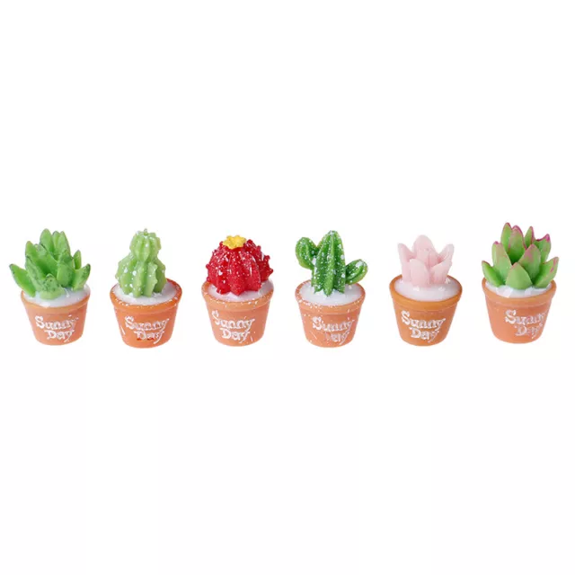 5 pz bonsai orticoli fai da te piccoli ornamenti in resina micro-paesaggio a *H7