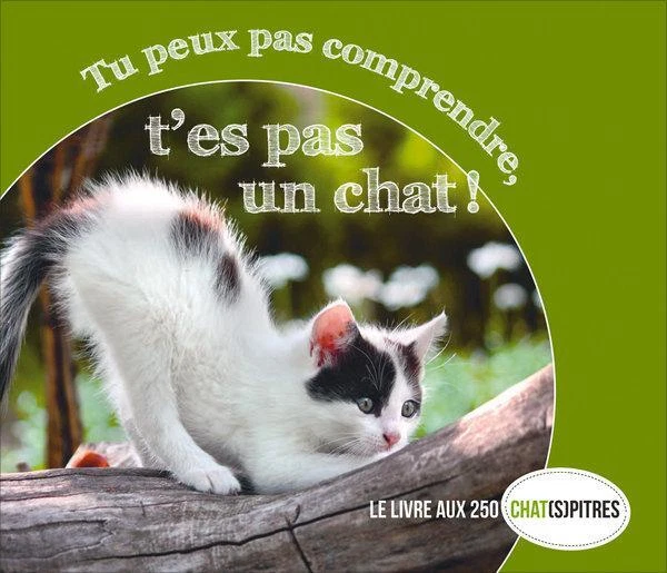 TU PEUX PAS comprendre t