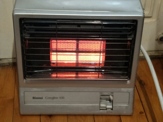 2017 RINNAI RHFE - 559 FDT NATURAL GAS HEATER ENERGYSAVER electric braemar  FT $525.00 - PicClick AU