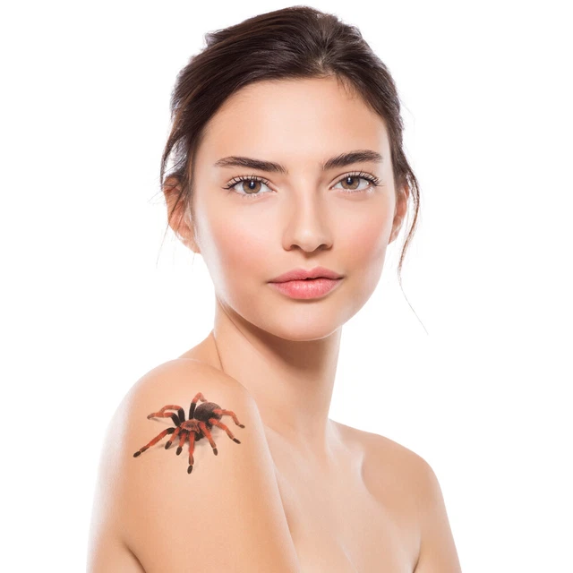 Spinnennetz Strumpfhose Schwarz Halloween - 2 Paar Mit 10 Spinnen Tattoos