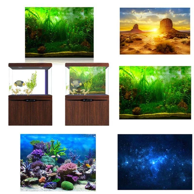 lotto Yellow Desert Aquarium acquario serbatoio pesce sfondo - decorazione parete rettile - 1 pz