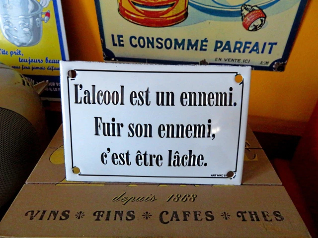 Plaque émaillée Humoristique 10x15 Cm – 'La Concierge Est Dans L'escalier' – Métal Bombé