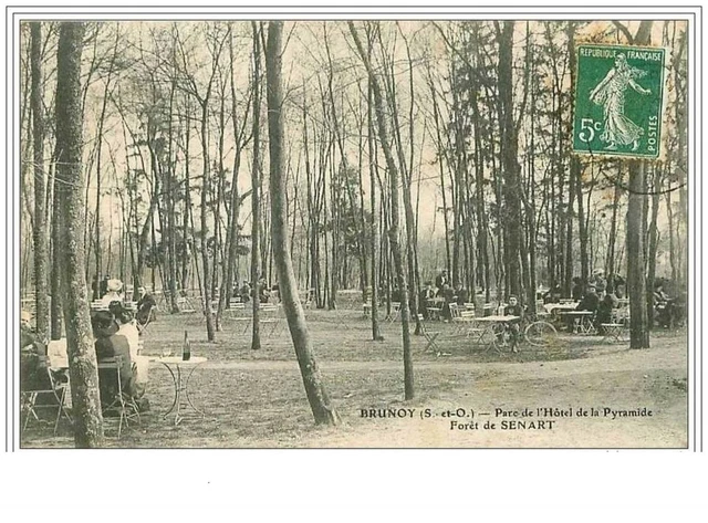 91.Brunoy.parc De L'hotel De La Pyramide.foret De Senart.tache