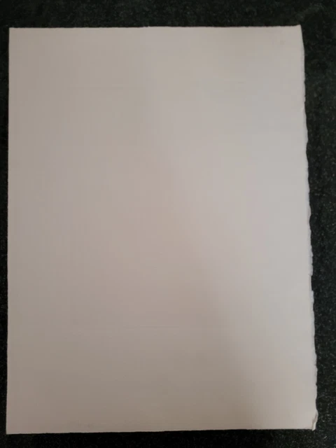 Lithographie signée et numérotée décor d'oiseau et de chat signature à identifie 10
