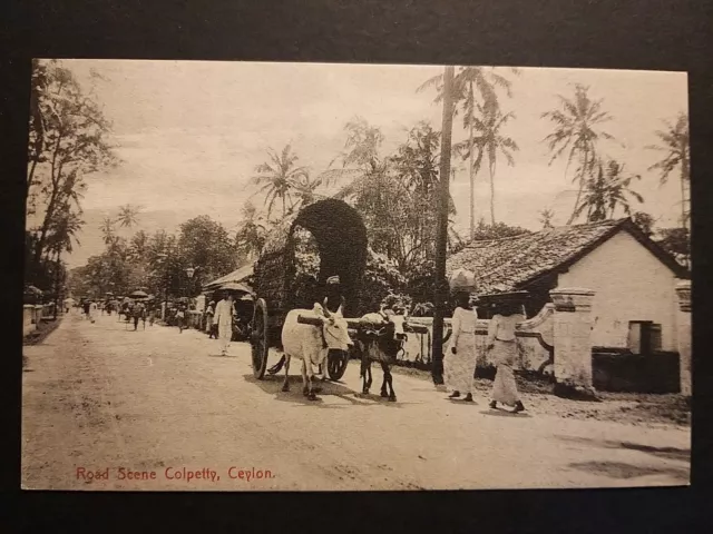 Ceylon (Sri Lanka). Road Scene Colpetty.