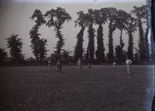Family Trees c1930 Photo NEGATIVE STEREO Glass Plate Vintage V36L3n 3