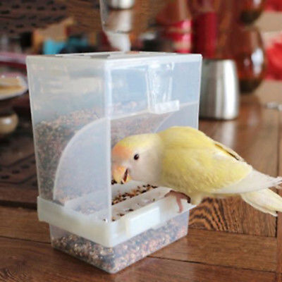 Alimentador automático de aves de corral de prueba contenedor automático de alimentos acrílico loro paloma Sp YB