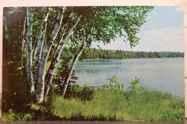 Scenic Lake Trees Postcard Old Vintage Card View Standard Souvenir Postal Post