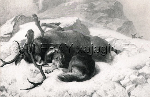 DOG Border Collie & Deer Stag, Sir Edwin Landseer Antique Collotype Print 1870s