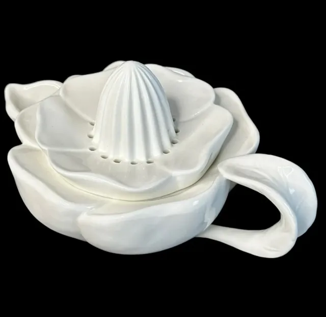 Exprimidor de cítricos de cerámica para galletas porcelana blanca vertido jarra fresca