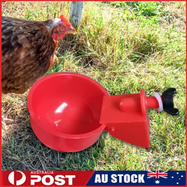 6Pcs Chicken Drinker Cup Kit Automatic Livestock Feeding Watering Supplies