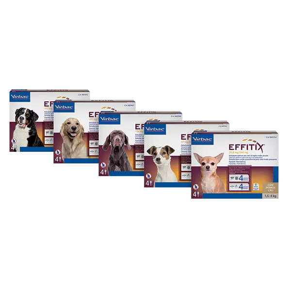 EFFITIX¹ protection chien puce tique flea treat leishmaniose1,5-60kg 4 pipettes