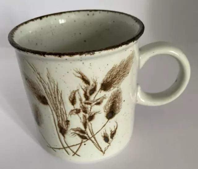 Midwinter Stonehenge Wild Oats Coffee Cup MUG Rare 1970s ½ PINT 1974